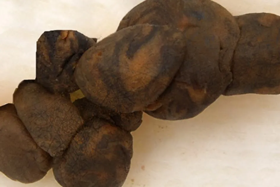 Khô, nâu và cứng