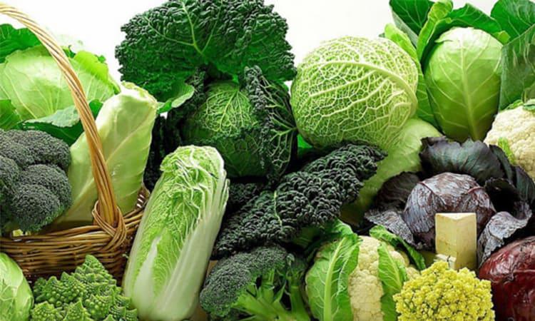 rau cải chống lão hóa