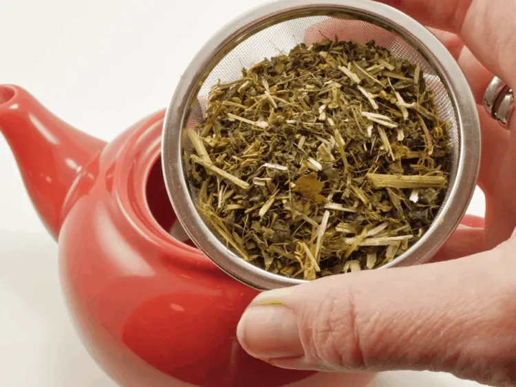 trà lạc tiên cải thiện chức năng não