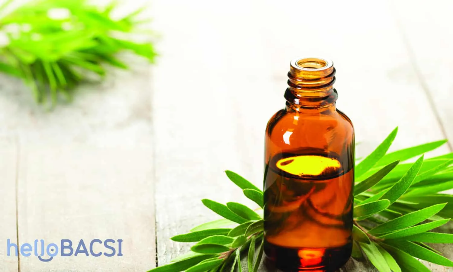 Trị mụn bằng tinh dầu tràm trà