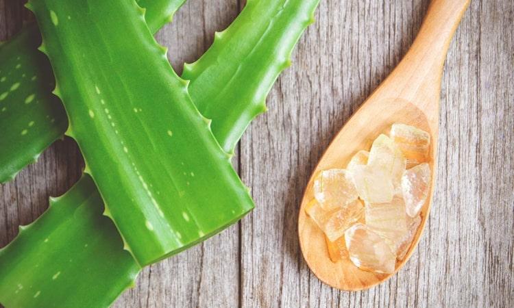 Nha đam giúp làm mờ vết sẹo, thâm mụn