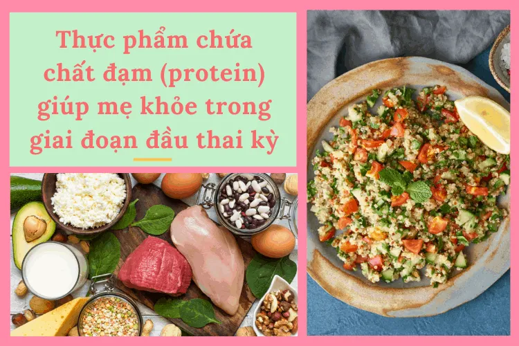 Thực phẩm chứa chất đạm (protein) giúp mẹ khỏe trong giai đoạn đầu thai kỳ
