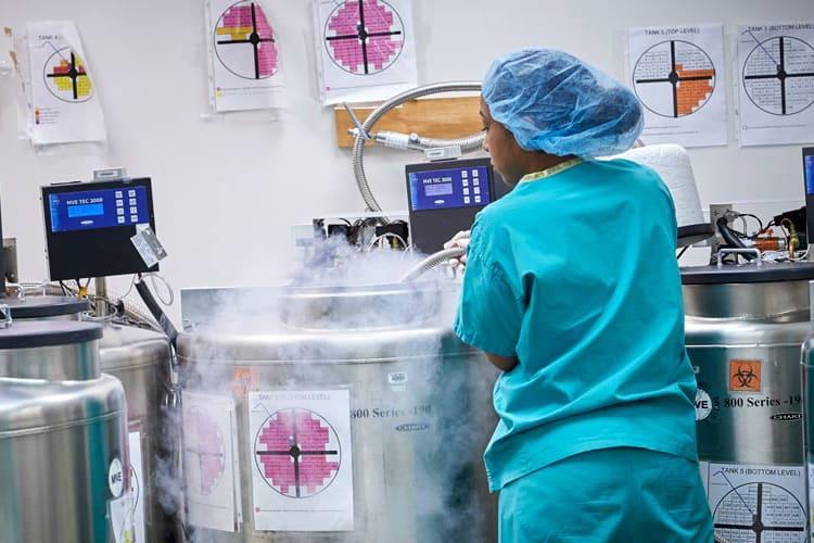 Đông lạnh trứng dùng thùng chứa ni-tơ lỏng để bảo quản