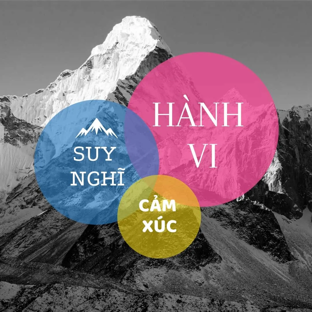 Liệu pháp nhận thức - hành vi xoay quanh việc thay đổi suy nghĩ, cảm xúc để tạo thói quen hành động