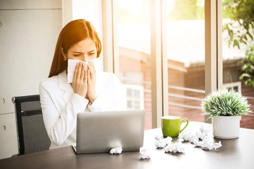 tác dụng của tinh dầu khuynh diệp