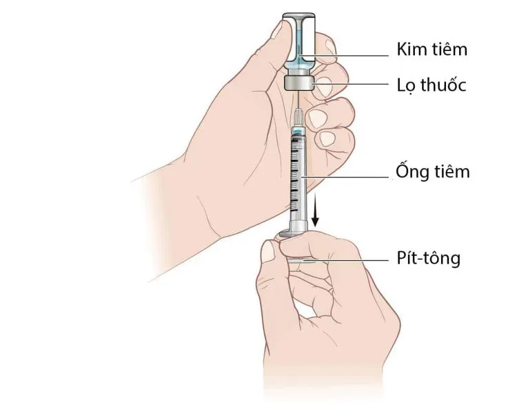 Cách lấy thuốc trong tiêm bắp