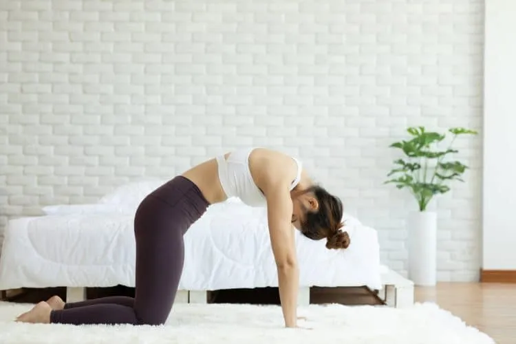 Cách tập tư thế con mèo – con bò