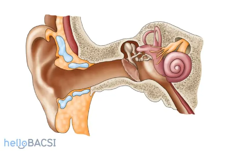 14 điều có thể khiến ù tai trái nghiêm trọng hơn