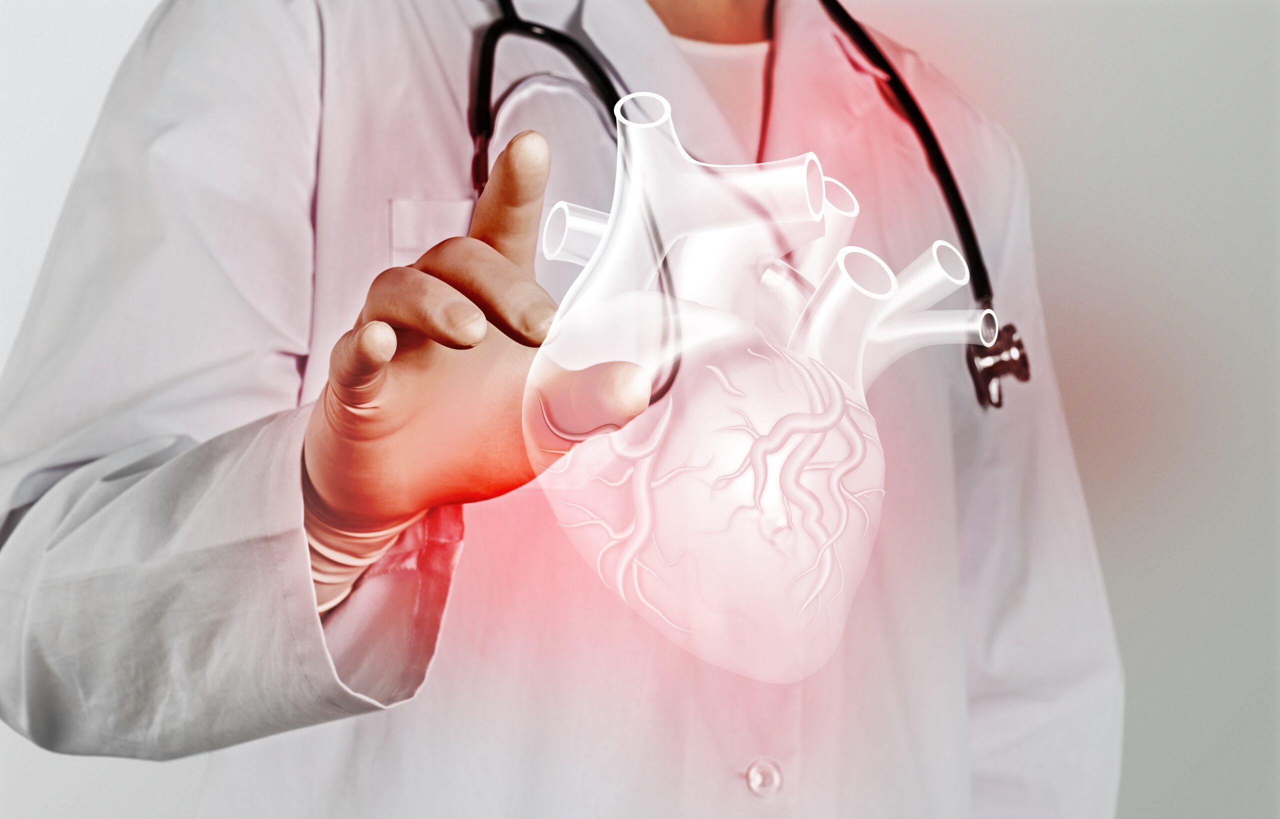 tác dụng của bắp cải: bảo vệ tim mạch 