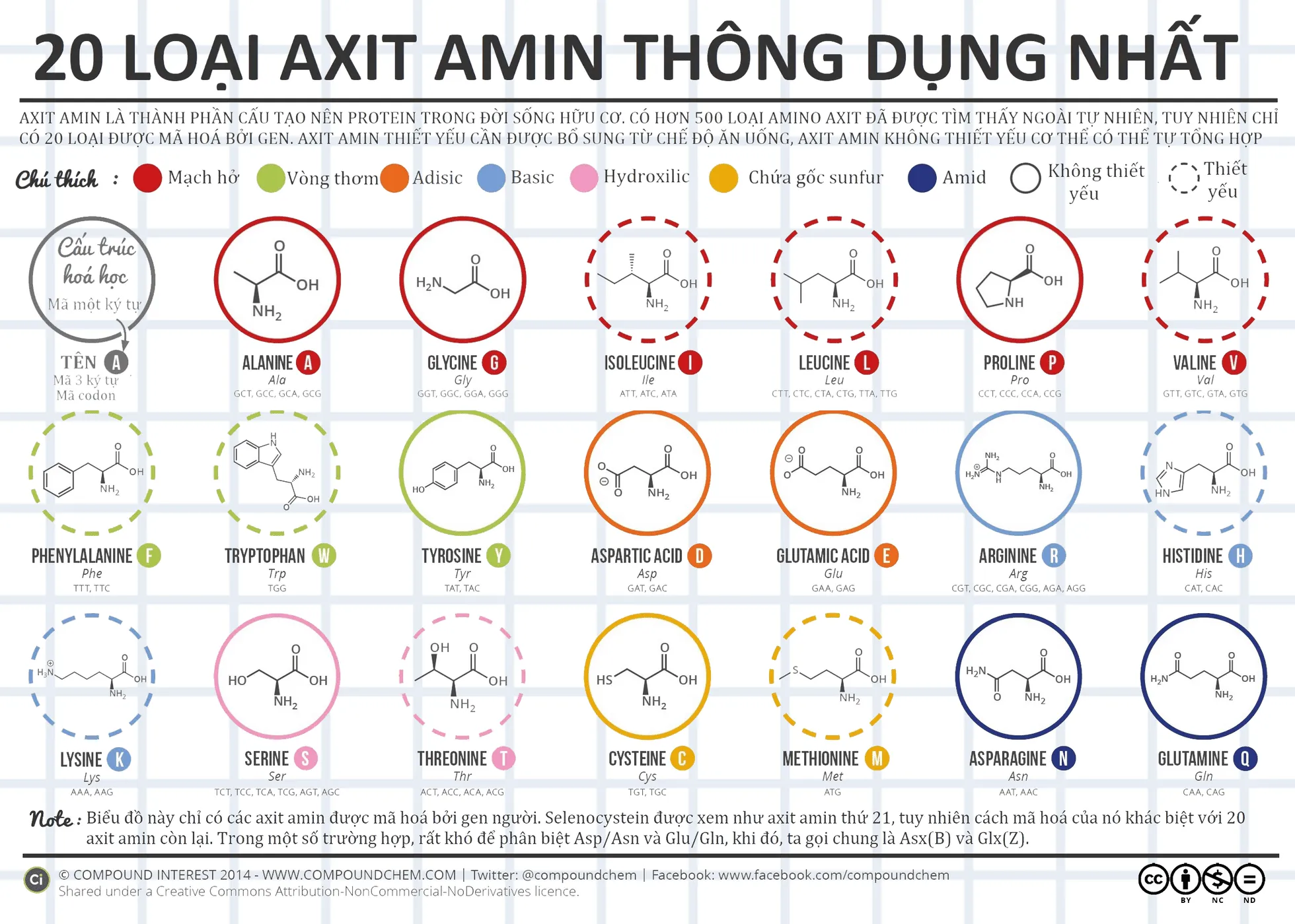 20 loại axit amin thông dụng