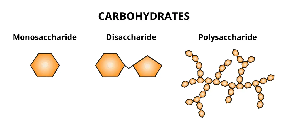 Carbohydrate phức tạp