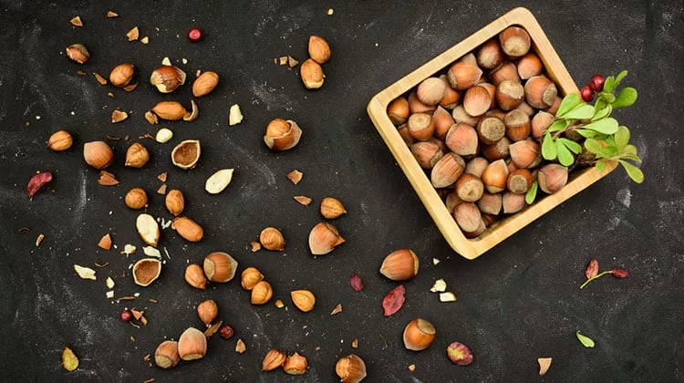 Hạt phỉ tốt cho người tiểu đường