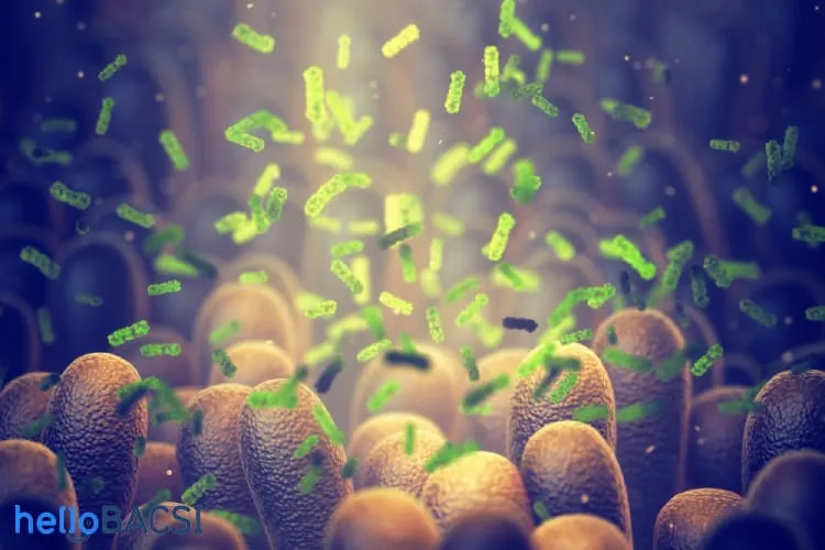 Bổ sung lợi khuẩn probiotic và 6 tác dụng phụ ít ai biết