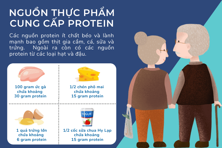 nguồn thực phẩm cung cấp protein