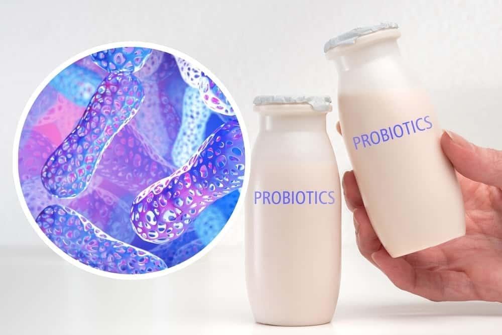 Probiotic là gì? Cách hoạt động của lợi khuẩn probiotic là như thế nào?