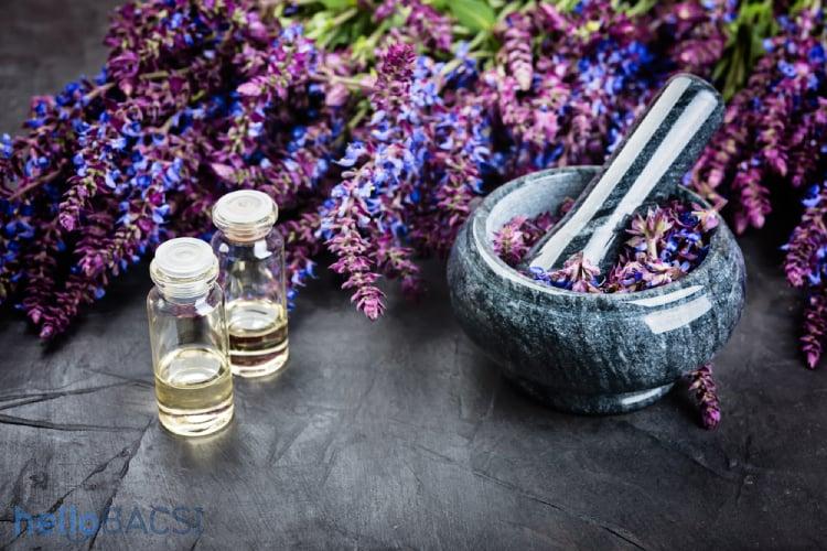 hoa cây xô thơm và chai tinh dầu