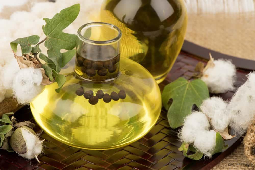 lợi ích của dầu hạt bông