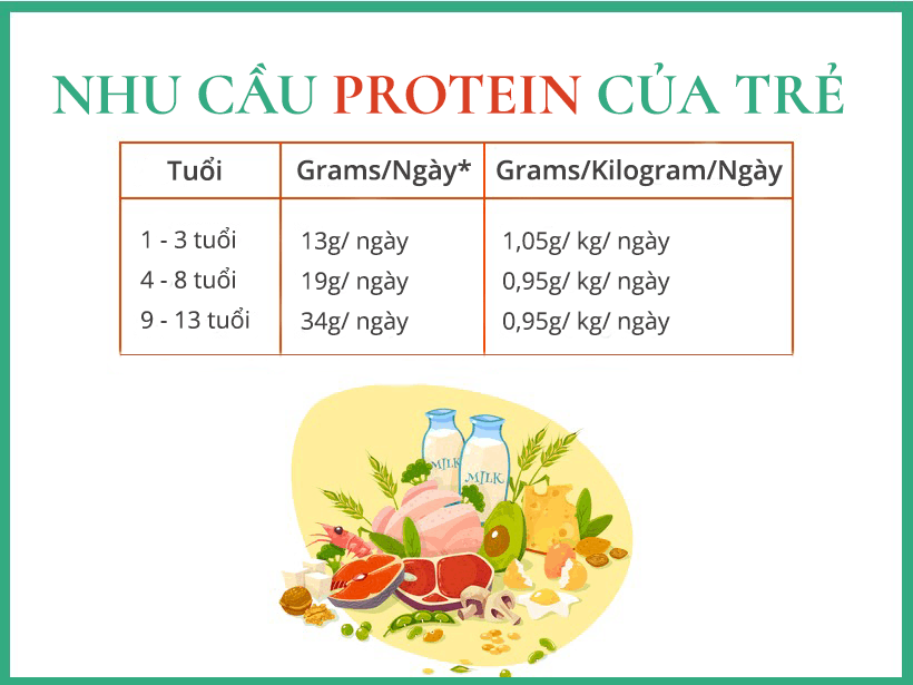 Nhu cầu protein của trẻ từ 1 đến 13 tuổi