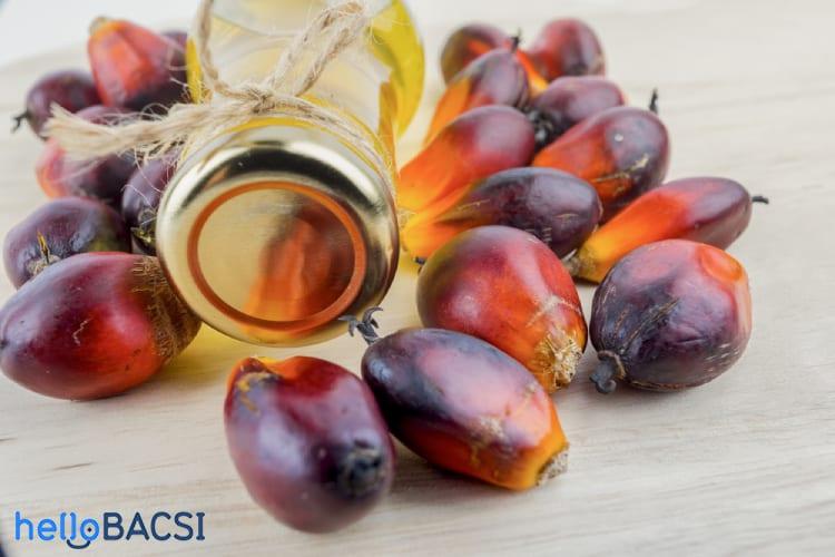 tác dụng của dầu cọ 