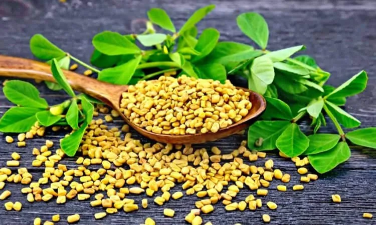 Thảo mộc cỏ cà ri giúp giảm cân