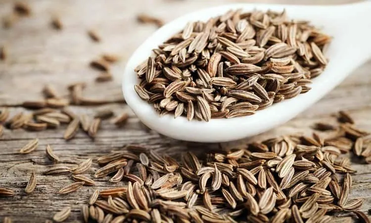 Thì là Ai Cập là thảo mộc giúp giảm cân