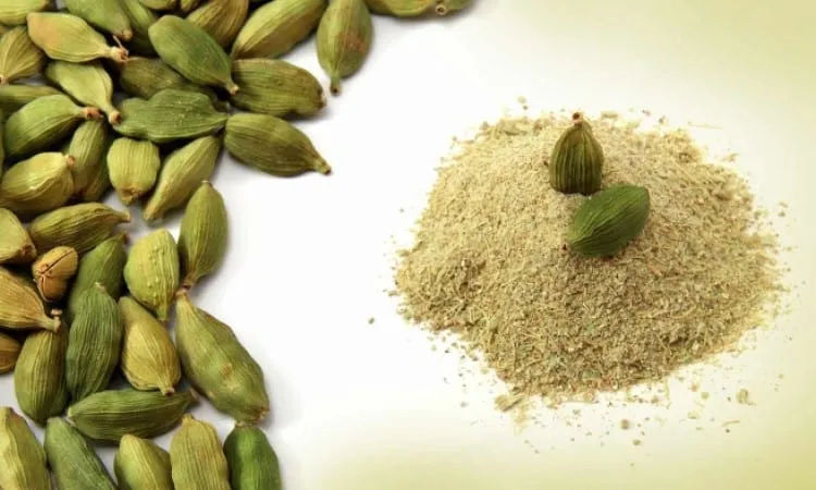 Bạch đậu khấu