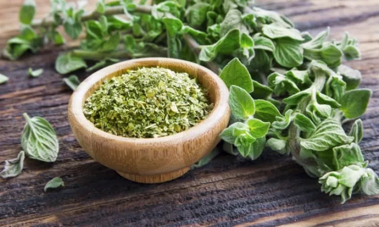 Oregano