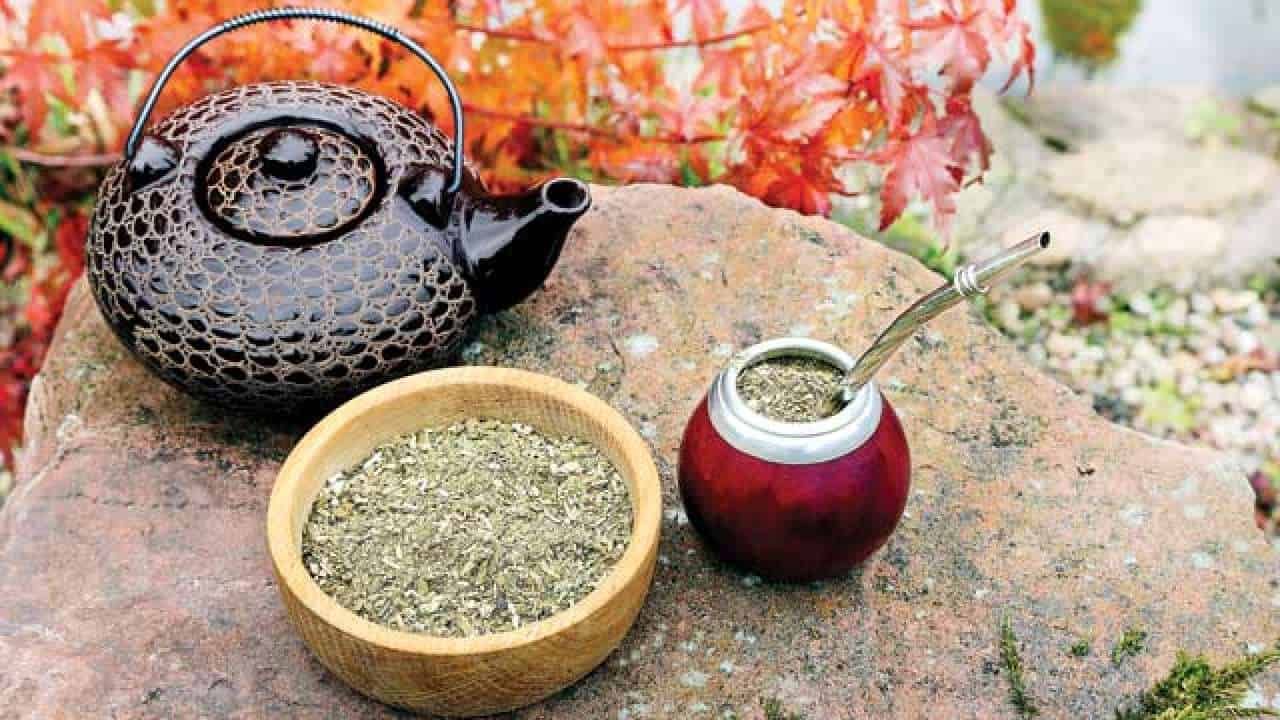trà yerba mate
