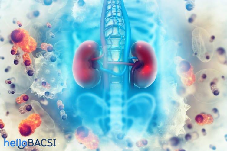 Yếu tố làm tăng nguy cơ bị hạ đường huyết