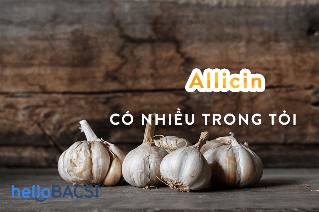 Allicin có trong trỏi