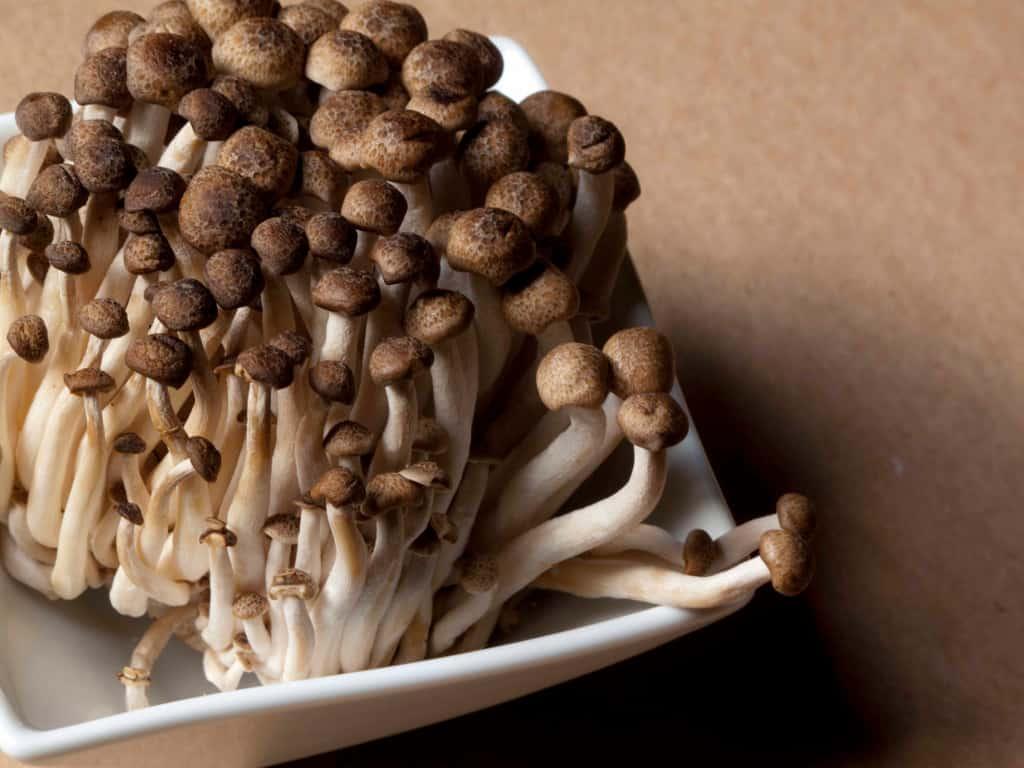 món ngon từ nấm hải sản