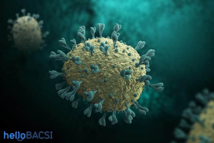 Nghiên cứu từ Trung Quốc: Phát hiện virus corona biến đổi "bất thường"