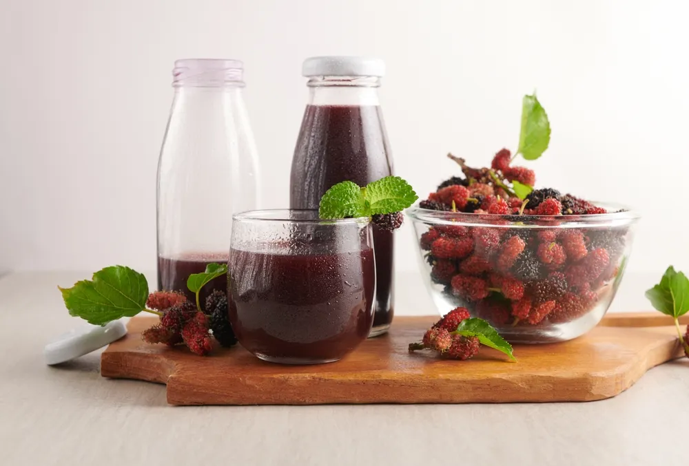 cách làm món siro dâu tằm