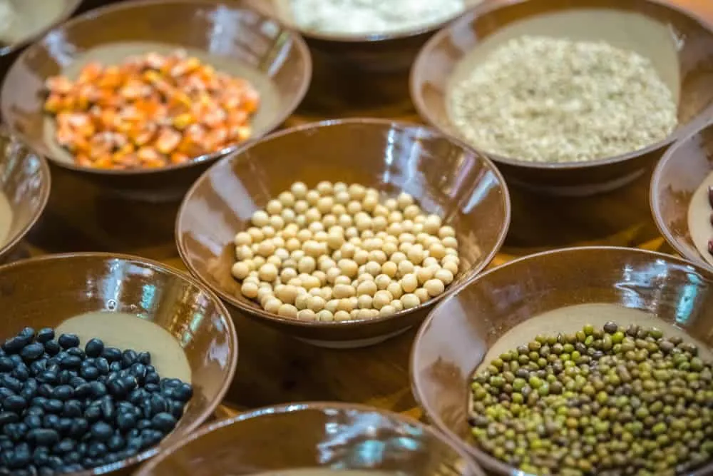 các loại đậu làm bột ngũ cốc lợi sữa