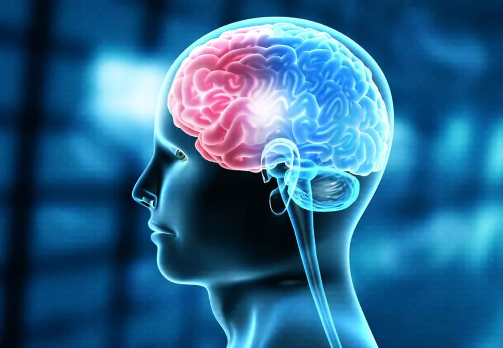 nguyên nhân gây chấn động não là gì