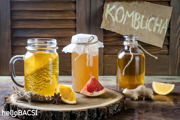 trà lên men kombucha