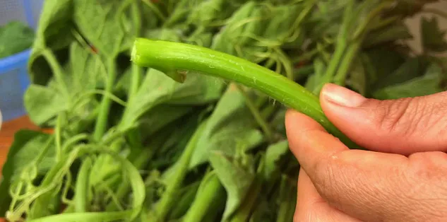 cách tước rau bí