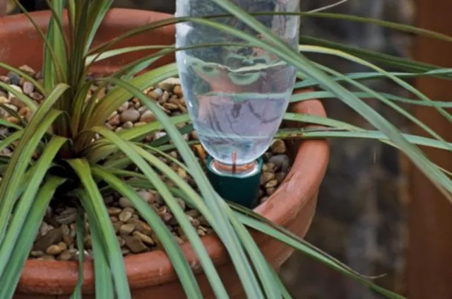 Làm thành bình tưới cây