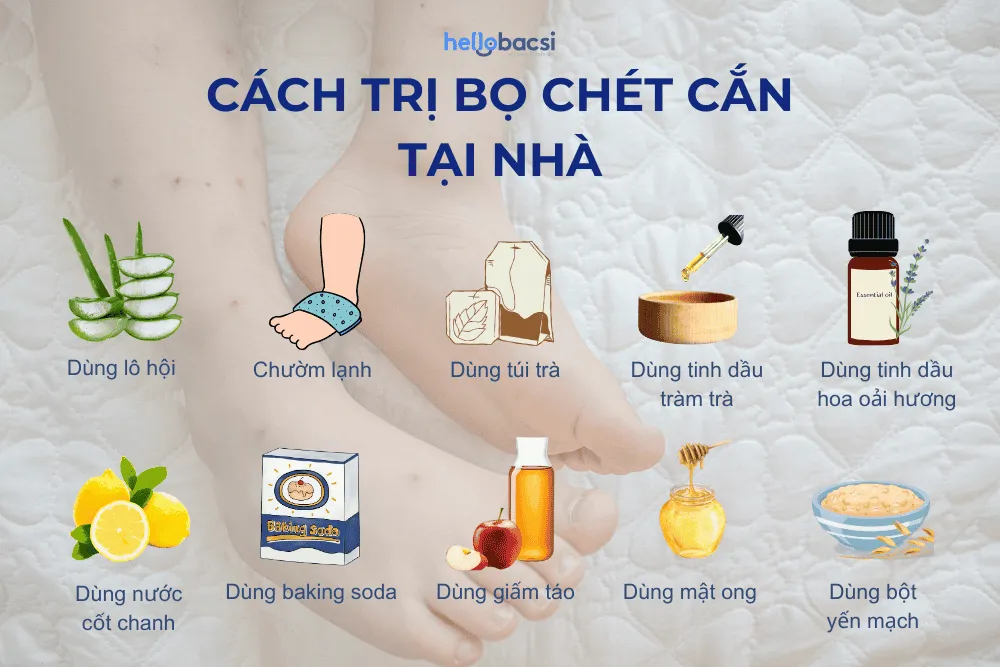 10 cách trị bọ chét cắn tại nhà cho bé