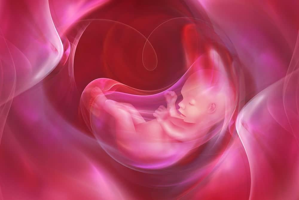 thai nhi giảm cử động