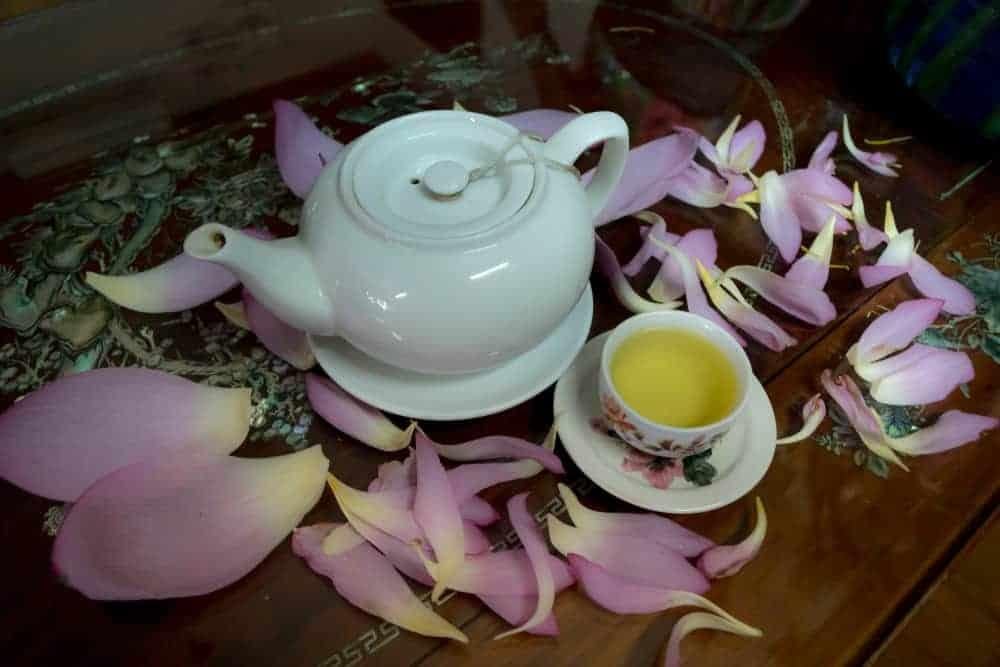 cách pha trà tim sen