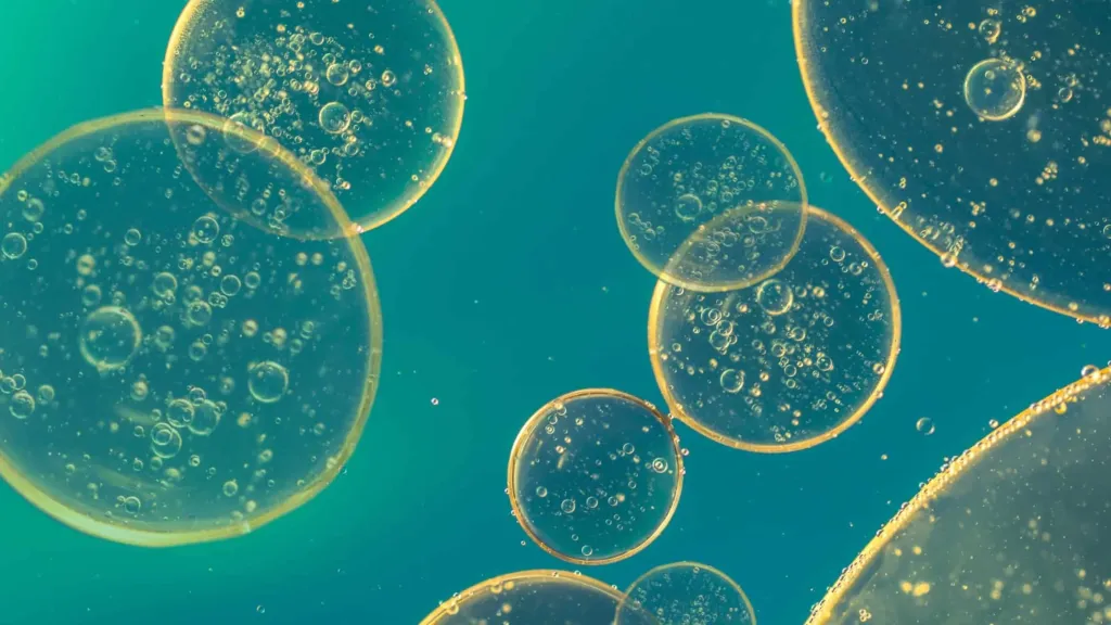 ngăn ngừa kháng kháng sinh