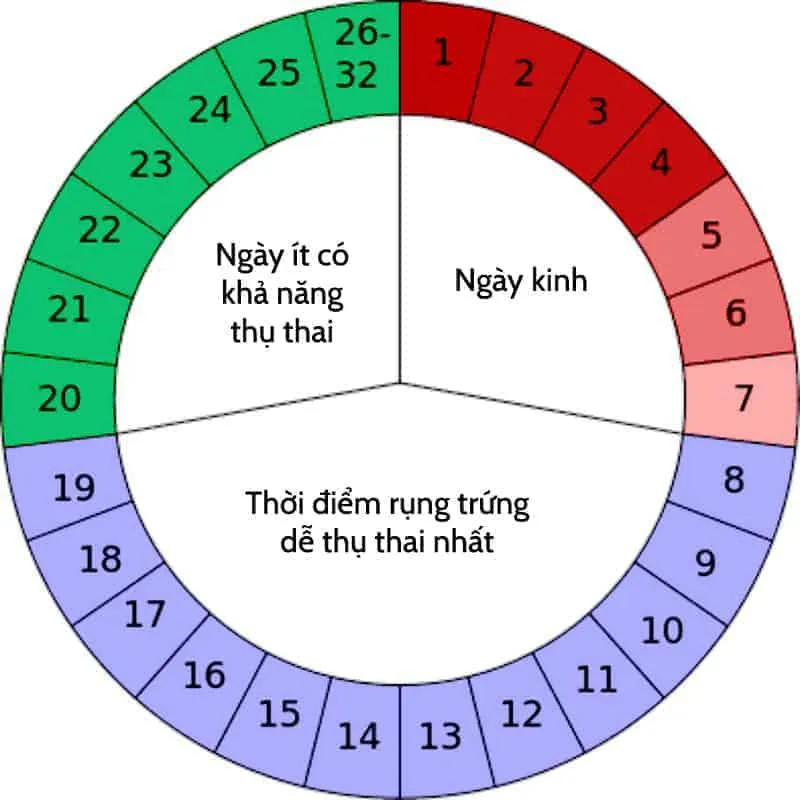 Quan hệ ngày rụng trứng có dễ mang thai không?