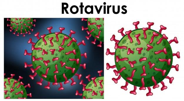 nhiễm rotavirus