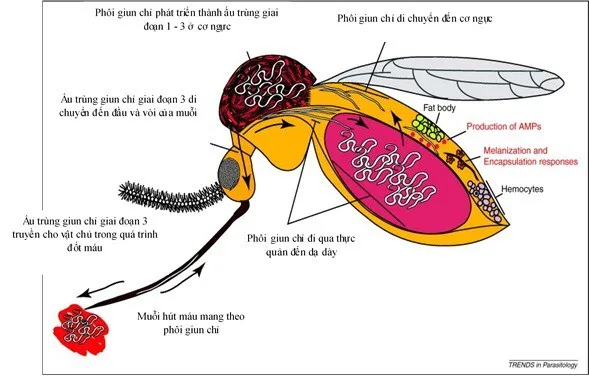 bệnh do côn trùng truyền nhiễm