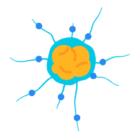 Các vấn đề về não và cột sống