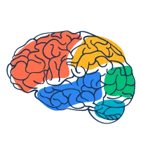 Các vấn đề khác về não & hệ thần kinh