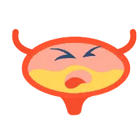 Các vấn đề tiết niệu khác