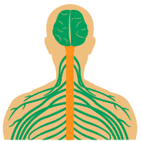 Các vấn đề thần kinh ngoại biên