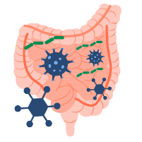Hội chứng loạn khuẩn ở ruột non